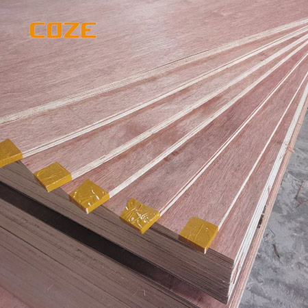 3mm Bintangor Plywood in Commercial Plywood