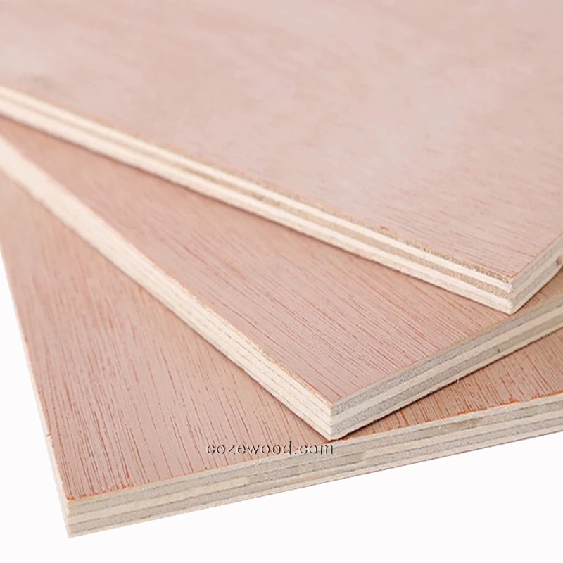 bintangor plywood 1.png