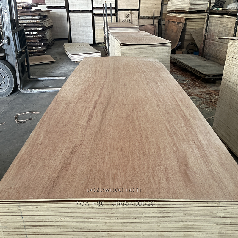 bintangor plywood 2.png