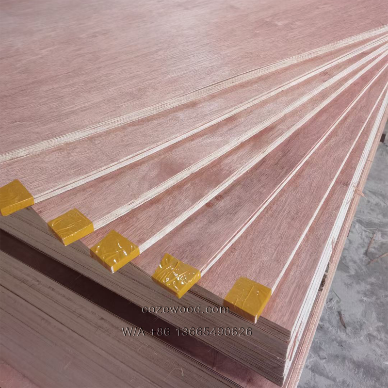 3mm plywood 2.png